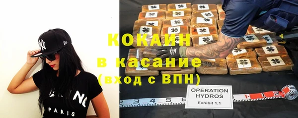 дживик Елабуга