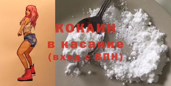 дживик Елабуга