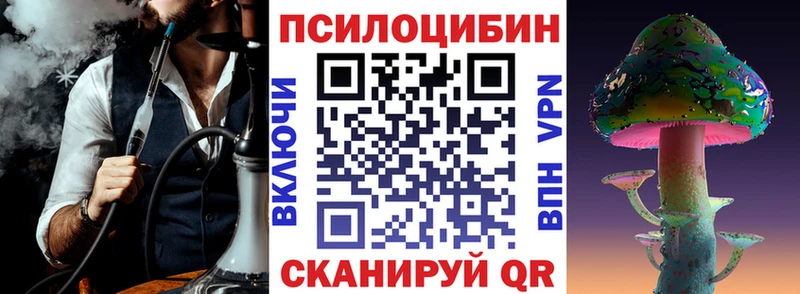 Галлюциногенные грибы Psilocybe Серов