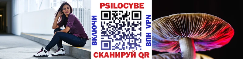 Галлюциногенные грибы Cubensis  Купить где  Серов 